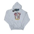 thumbnail image 1 of Harry Potter Boys Gryffindor Distressed Crest Hoodie, 1 of 5