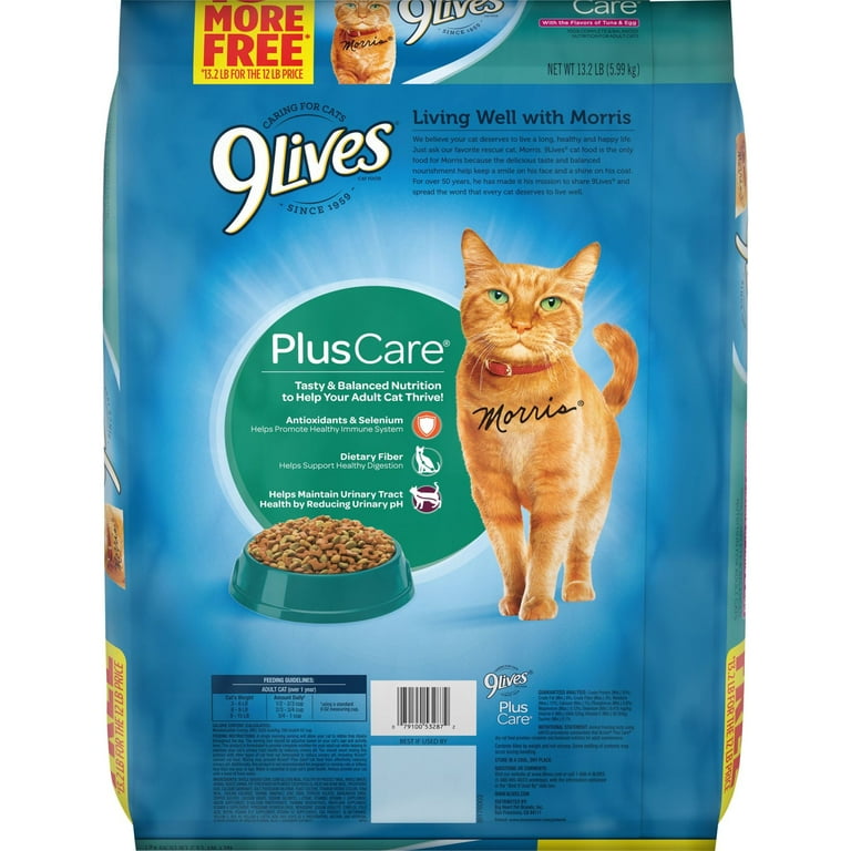 9Lives Plus Care Dry Cat Food Bonus Bag, 13.2-Pound 