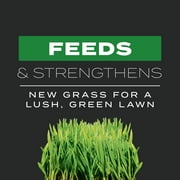 Scotts Turf Builder Triple Action Built For Seeding, 4.3 lbs.