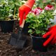 thumbnail image 5 of Pala pequeña de hierro con mango de madera. Pala práctica de hierro para jardinería. Pala para limpiar basura., 5 of 7