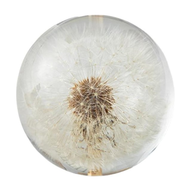 Wartleves Bola de cristal con flor preservada, flor en espécimen de resina de lucita transparente, esfera transparente para sala de estar súper decorativa