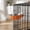 Orange#725, variant on Stainless Steel Hanging Pet Bowl for Crate, Adjustable Hook-On Food and Water Feeder for Dogs Cats, Removable Easy-Clean Cage Bowl with Spatter-Resistant Rim