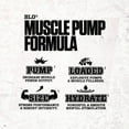 thumbnail image 3 of MyoBlox Blo Muscle Pump Formula (40 Scoops, Rainbow Haze), 3 of 6