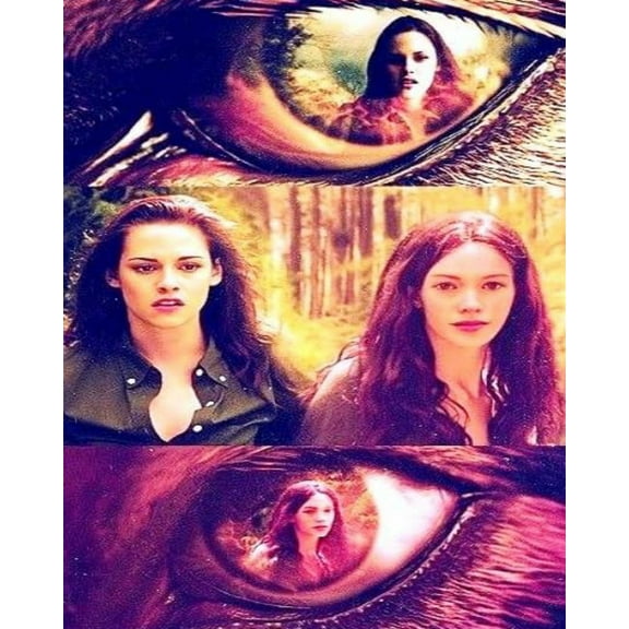 Paint by Number for Adults -Twilight (9) - Acrylic Easy Paint by Numbers for Adults Beginner DIY Painting by Numbers for Gift Home Wall Decor 16”W x 20”L-