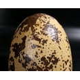 thumbnail image 5 of Small Theropod Dinosaur Egg Life Size Statue, 5 of 8