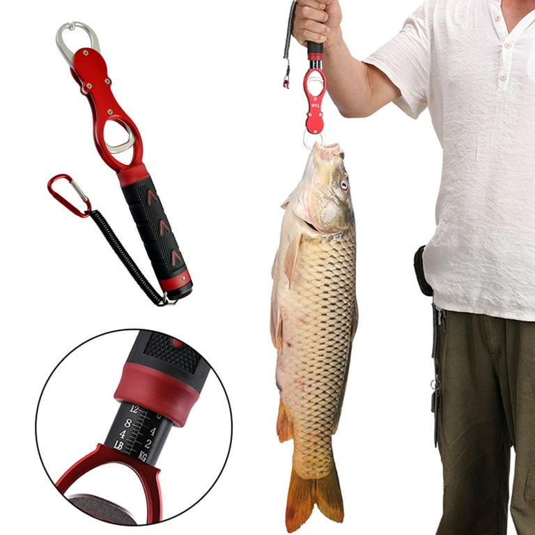 Cheers.US Portable Fish Lip Gripper Fish Scales Professional Fish Holder  Aluminum Alloy Fishing Grabber Hook Tackle Tool Accessory with Weight Scale