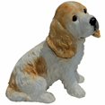 thumbnail image 1 of Cocker Spaniel Puppy&44; Blanc et Bronzage - Moyen, 1 of 1