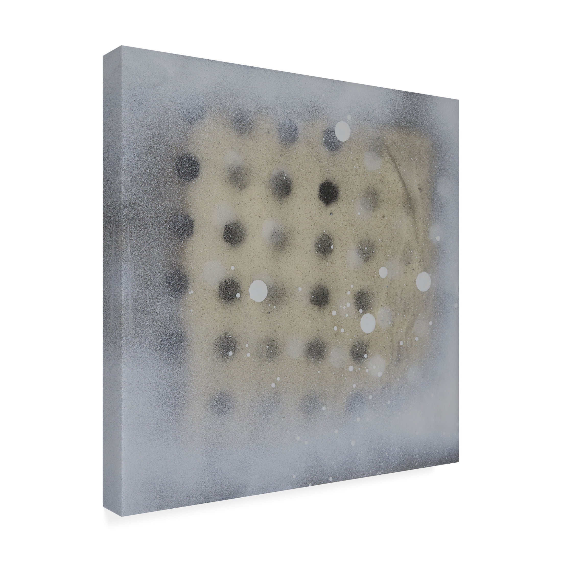 Trademark Fine Art Erin McGee Ferrell  Polka Squares II Canvas Wall Art