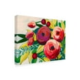 thumbnail image 2 of Trademark Fine Art 'Vivacious Bloom II' Canvas Art by Grace Popp, 2 of 3