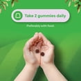 thumbnail image 6 of Natures Craft Blood Builder Iron Gummies & Vitamin C Supplement for Kids, 60 Gummies, 6 of 10