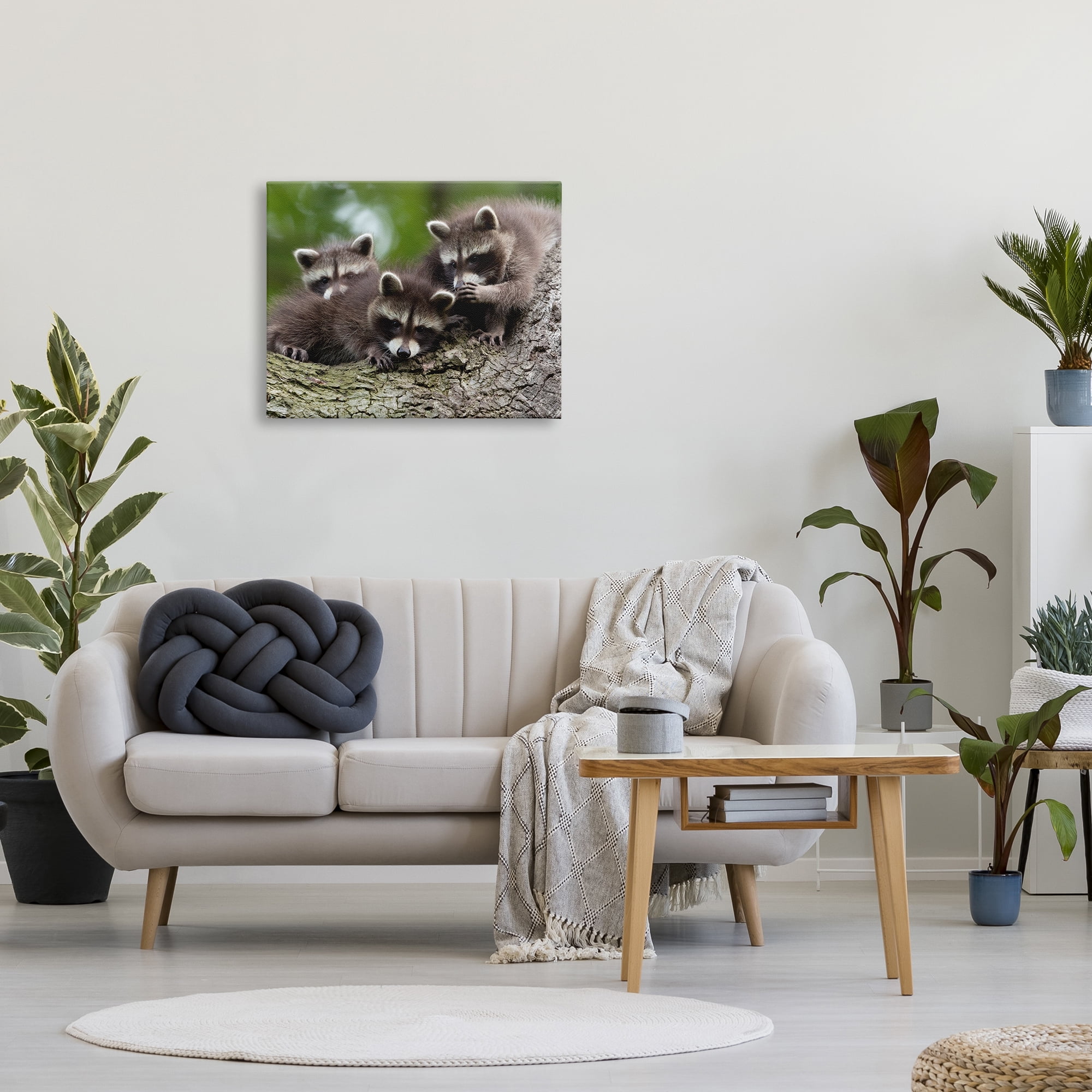 Stupell Industries Raccoon Babies in Tree Animals & Insects Photography Gallery Wrapped Canvas Art Print Wall Art, 30 x 24
