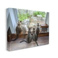 thumbnail image 4 of Stupell Industries Cats Watching Bird at Window Animals & Insects Photography Gallery Wrapped Canvas Art Print Wall Art, 40 x 30, 4 of 8