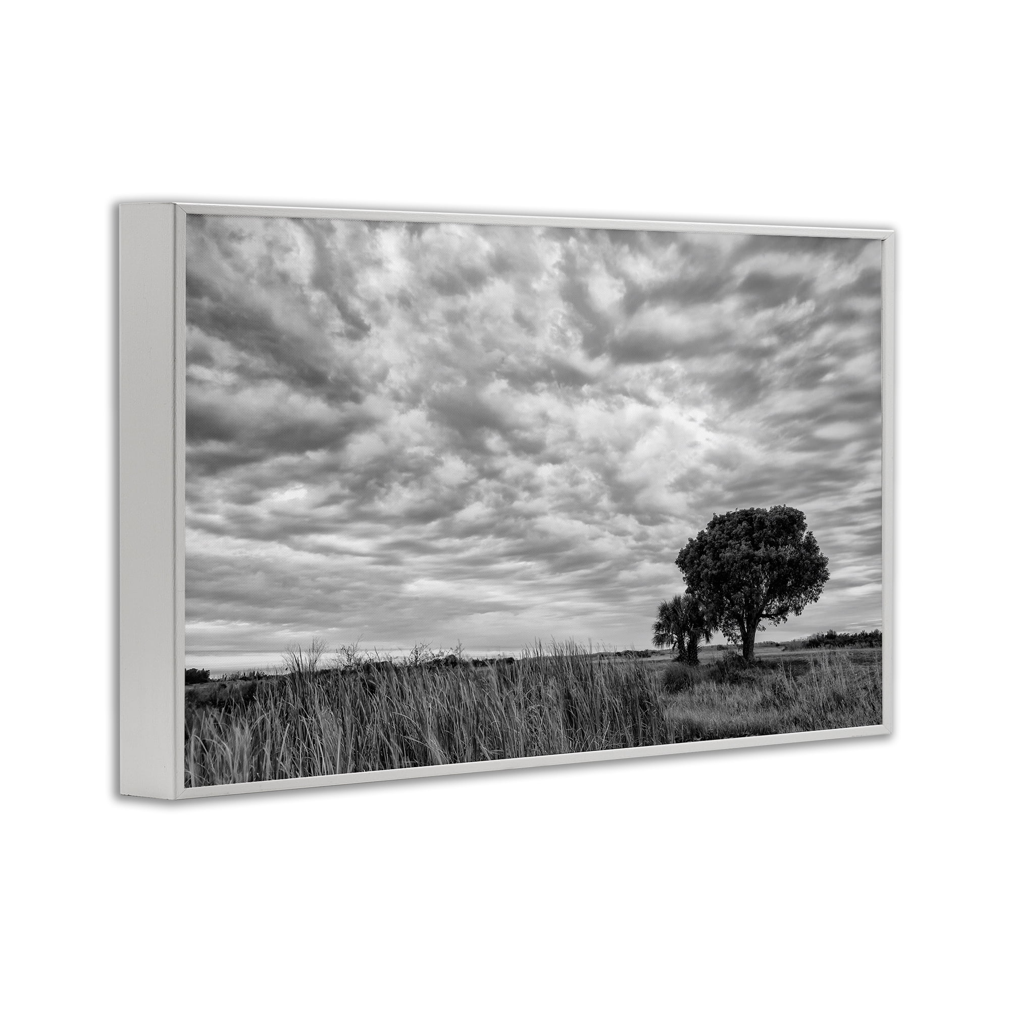 Stupell Industries Solitary Tree Beneath Clouds White Framed Giclee Art, design by Jon Evan