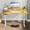 Nature, variant on CONCETTA Electric Adjustable Height Standing Desk - 40 x 24 inch Sit to Stand Up Desk with Splice Board, Rising Home Office Computer Table with 2 Hook and Wire Hole for Work