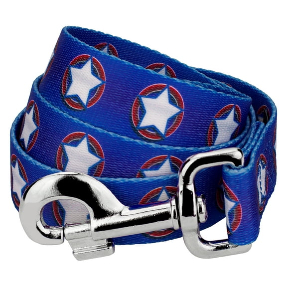 5/8 inch Country Brook Petz® American Stars Dog Leash, 6 Foot