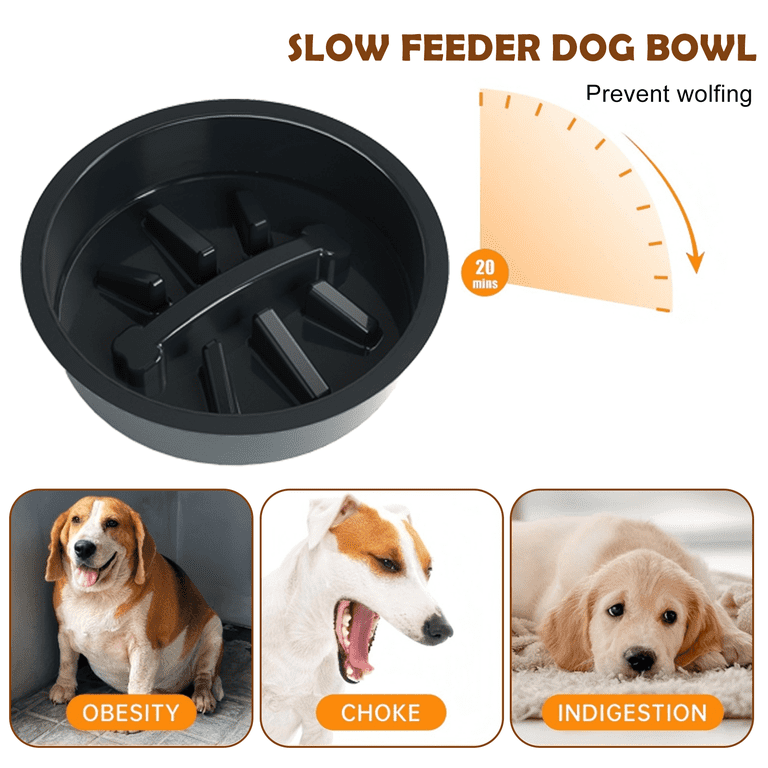 Shainfun 6-Height Adjustable Dog Bowl Stand, 3 Stainless Steel Bowls photo 6
