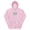 Light Pink, variant on Santa Cruz Surf Shop PLEASURE POINT Womens Hoodie