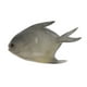 thumbnail image 5 of Adorno de pez mariposa artificial simulado para decoración de acuario, juguete de plástico para peces de natación, 5 of 6
