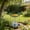 Dark Gray, variant on Solar Powered Hanging Bird Bath and Feeder, Outdoor Garden Fountain with Automatic Water Circulation for Patio Decoration