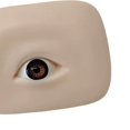 thumbnail image 4 of Xuanheng Silicone Eyes Model with Eyeball Practice Lightweight Brown Right, 4 of 6