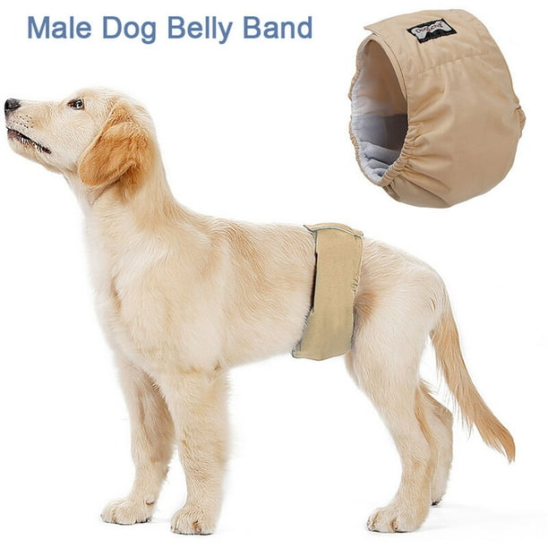 How to make top a dog belly band