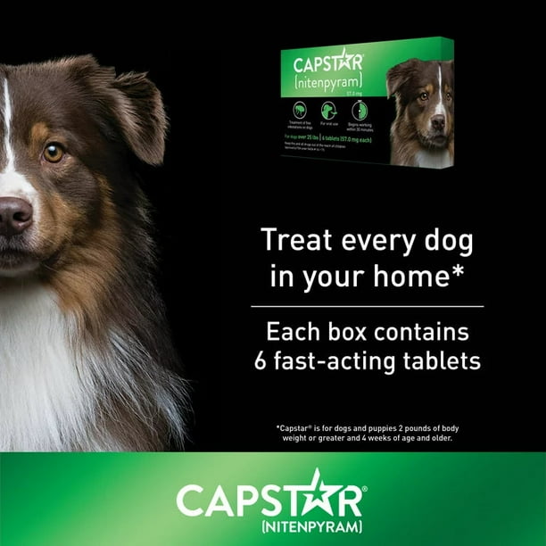 Capstar for dogs over 25 lbs hot sale