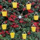 thumbnail image 4 of Parrots Budgies Cage Toy Metal Food Container Parrots Parakeets Foraging Toy Bird Toy Feeder Food Dispenser Toy, 4 of 4