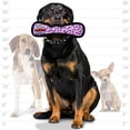 thumbnail image 4 of TUFFY - Worlds Tuffest Soft Dog Toy - Ultimate Bone-Squeakers - Multiple Layers. Made Durable, Strong & Tough. Interactive Play (Tug, Toss & Fetch). Machine Washable & Floats (Regular, Pink, 4 of 6