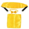 thumbnail image 5 of Masteelf  Silk Bow Ties for Men Wedding Cummerbund Charming and Man, 5 of 8