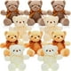 thumbnail image 1 of Peluche de peluche Skylety Bears, 10 piezas, 30 cm, 1 of 6