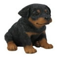 thumbnail image 6 of Hi-Line Gift Ltd, Rottweiler Puppy, 6 of 6
