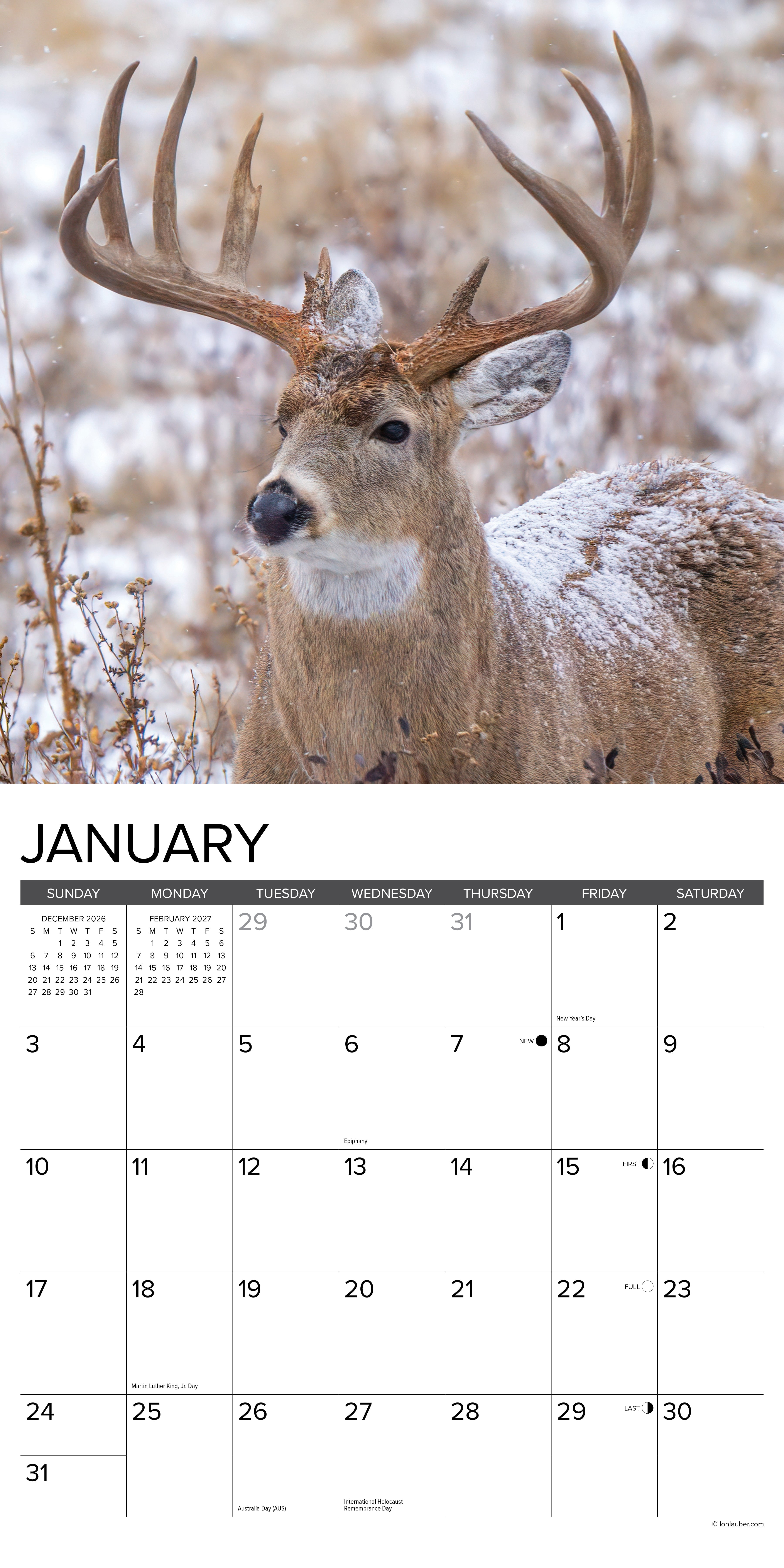 Willow Creek Press, Monster Bucks 2027 Wall Calendar