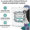 thumbnail image 3 of ~Pourri Pet-Pourri Candle 2-in-1 Pet Odor Eliminating Pawsitively Fresh 7.5oz - 7.5 oz, 3 of 8