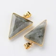 thumbnail image 2 of 1pc Faceted Triangle Natural Labradorite Big Pendants with Golden Tone Brass Findings 30~35x19~26x5~6mm Hole: 5x4mm Gold, 2 of 2