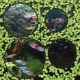 thumbnail image 3 of BESTYASH 5Pcs Fish Tank Plants Floating EVA for Simple Design, 3 of 6