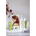 thumbnail image 3 of Naturtint 5C Light Copper Chesnut Permanent Hair Color, 6 Pack (Packaging May Vary), 3 of 7