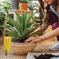 thumbnail image 7 of 20 Pack Yellow Sticky Traps for Fruit Flies, Gnats, and Insects - 6x8 Inch Double-Sided Bug Glue Traps for Indoor/Outdoor Plants, Garden, Greenhouse - Non-Toxic Pest Control, 7 of 7