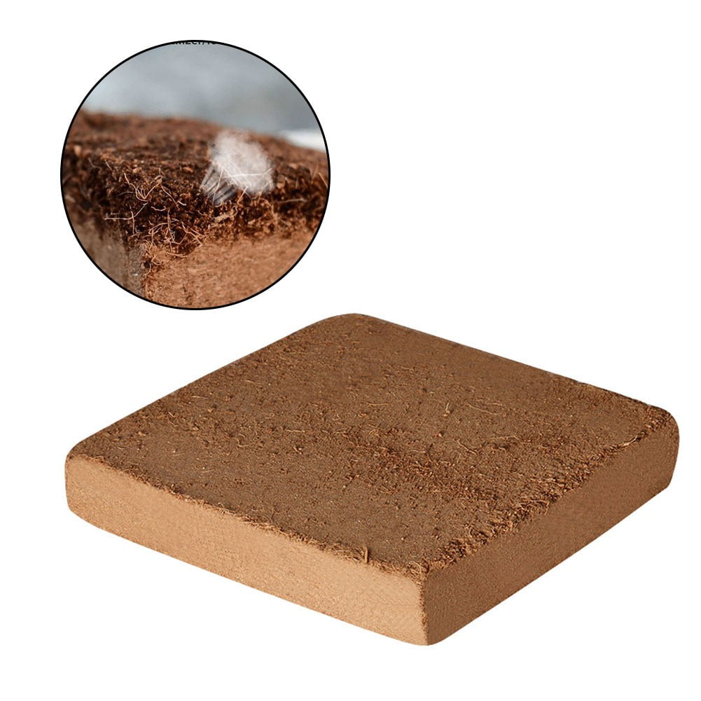 Organic Compressed Coco Coir Brick Coconut Fiber Organic Soil Plant Growing Medi Smile Home