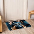thumbnail image 6 of Collie Non-Slip Polyester Chair Mat - Machine Washable Door Mats and Rugs, 6 of 6