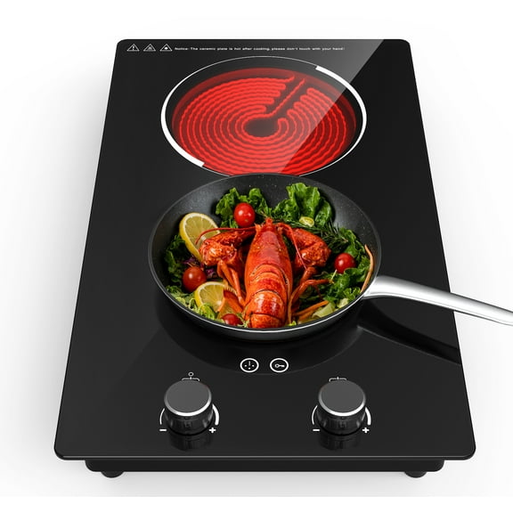 QTYANCY Electric Cooktop, 120V Electric Stove Top with Knob Control, 9 Power Levels, Kids Lock & Timer, Hot Surface Indicator