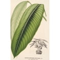 thumbnail image 3 of Charles Antoine Lemaire 11x14 Black Modern Framed Museum Art Print Titled - Status Smaragdina (1854-1896), 3 of 5