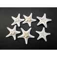 thumbnail image 3 of 12 White Knobby Starfish 2-3" Beach Wedding Decor Nautical Crafts Hobby REAL, 3 of 4