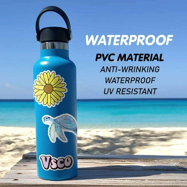 Vsco hydro hotsell flask size