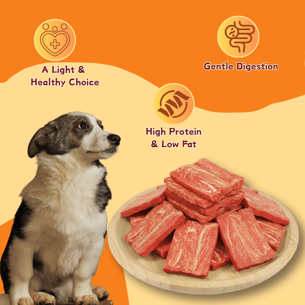 Tender Touch Jerky Treats with Real Chicken and Pumpkin, Wholesome All-Natural Dog Chews for All Breeds, Soft & Tender Slices, 1.32 Pound