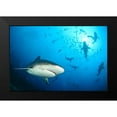 thumbnail image 2 of Safonov, Alexander 14x11 Black Modern Framed Museum Art Print Titled - Beqa Shark Labs, 2 of 5