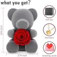 thumbnail image 3 of Preserved Rose with 18K Gold Plated Necklace,Teddy Bear with Preserved Rose Gifts Best Valentines Day Mothers Day Birthday Gifts, 3 of 6
