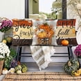 thumbnail image 5 of 4pcs Fall Pillow Cover Decoration 18x18in Thanksgiving Pumpkin Buffalo Bow-knot Throw Pillow Cases Autumn Harvest Party Cushion Pillow Covers for Farmhouse Couch Sofa Outdoor Home Decor, 5 of 6