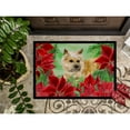 thumbnail image 3 of Carolines Treasures CK1338JMAT Cairn Terrier Poinsettas Door Mat Indoor Rug or Outdoor Welcome Mat 24x36 Doormat  36"L x, 3 of 4
