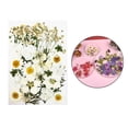 thumbnail image 6 of Real Dried Press Flowers Dried Press Leaves Handmade Flower Candle Making Flowers Press for Jewelry Making White, 6 of 10