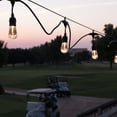 thumbnail image 6 of Enbrighten Seasons Vintage LED Color-Changing Café String Lights, 48ft. 24 Acrylic Bulbs, Indoor/Outdoor, Weatherproof, Shatterproof, Black Cord, 37790, 6 of 13